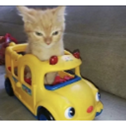 Buskitty0 emoji