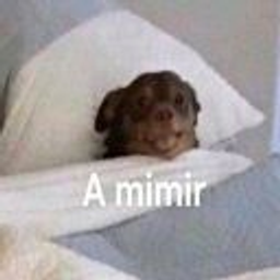 Amimir emoji