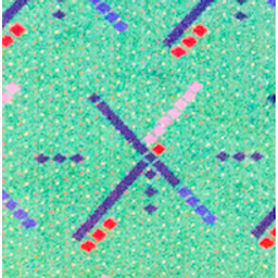 Pdx Carpet emoji