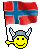 Viking Flag emoji