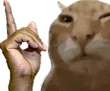 Hesbuh emoji