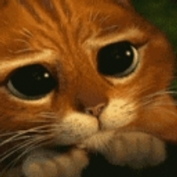 Please Cat emoji
