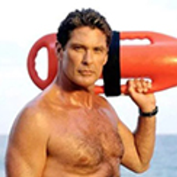 Hasselhoff emoji