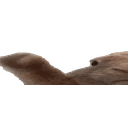 Widevibe emoji