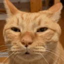 Whar emoji