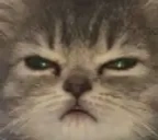 Angrycat emoji