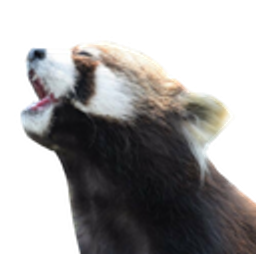 Redpanda Pog emoji