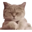 Catjam2 emoji