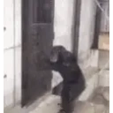 Monkedoor emoji