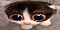 Monka emoji