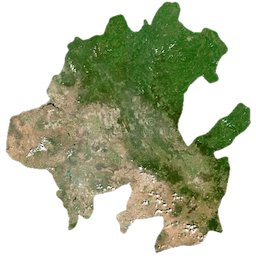 Hidalgo Estado emoji