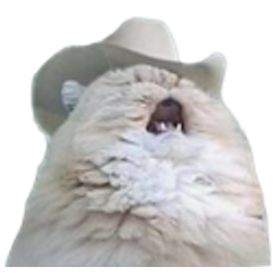 Country Cat emoji