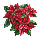 Poinsettiavi emoji