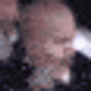 Dog Flower Crown Smile emoji