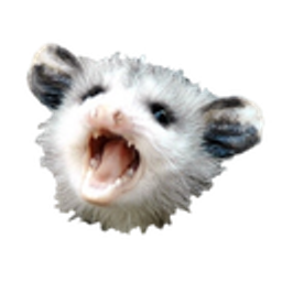 Opossuum emoji