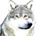 Auf emoji