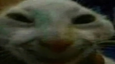 Xddsmile emoji