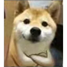 Ohreallydog emoji