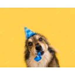 Birthdaydogg emoji