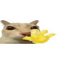 Otaghi emoji
