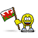 Wales Flag emoji