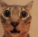 Alta emoji