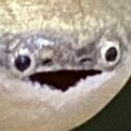 Whoa Fish emoji