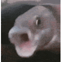 Fishgif emoji