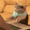 Cattyping emoji