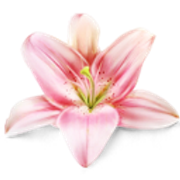 Lily emoji