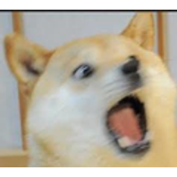 Suprised Doge emoji