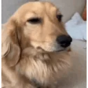 0 0 emoji