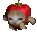 Applecatrun emoji