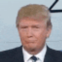 Trump Expression emoji