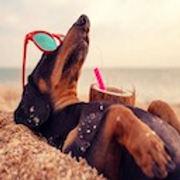 Dachshund Chillin emoji