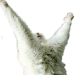 Cat Praising emoji