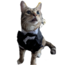 Tabby Tux emoji