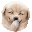 Jiji Dog emoji