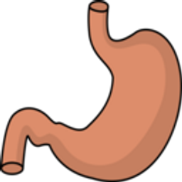 Stomach emoji