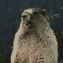 Beaver Scream emoji
