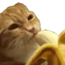 Cateatinbananahehappy emoji