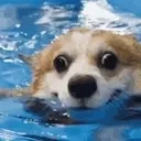 Swimmin emoji