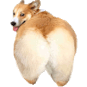 Corgibutt emoji