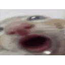 Ssacz emoji