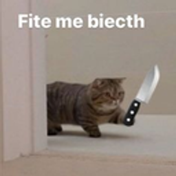 Fite Me Biecth emoji