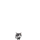 Catbrickthrow emoji