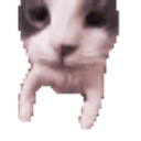 Cat Peeking Curious emoji