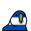El Salvador Parrot emoji
