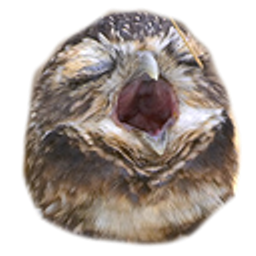 Owlscream emoji