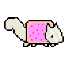 Nyan Squirrel emoji
